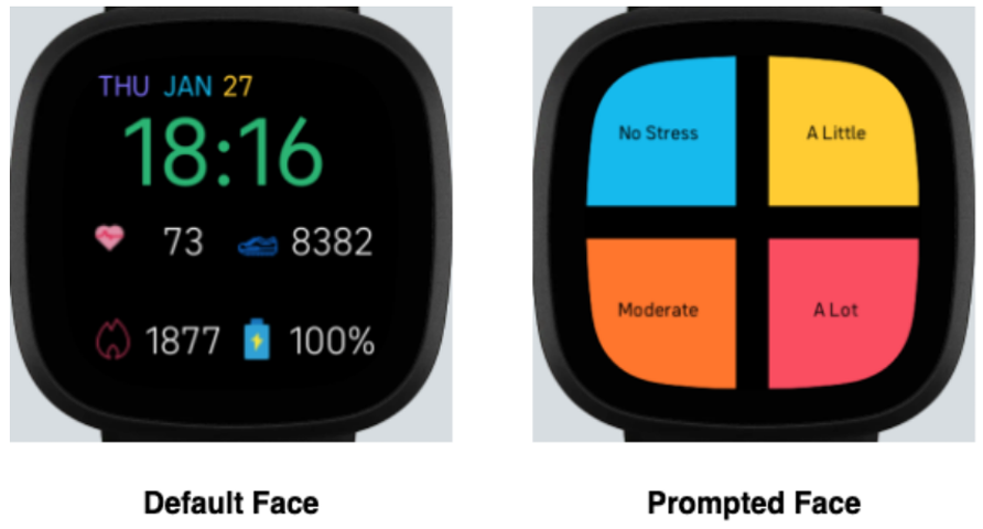 Fitbit Image